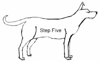 how to draw animals in 6 easy steps