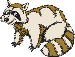 My Raccoon Friend - It's the only image I had.