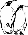 free printable penguin coloring pages