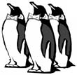 penguin coloring pages