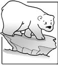 polar bear coloring pages