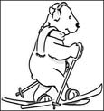 polar bear coloring pages