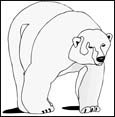 polar bear coloring pages