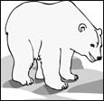 polar bear coloring pages