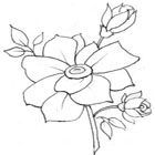 free roses coloring pages 