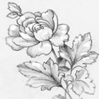 roses coloring pages