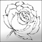 printable roses coloring page