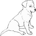 coloring pages to print