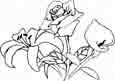 flower coloring pages 