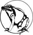 frog coloring pages